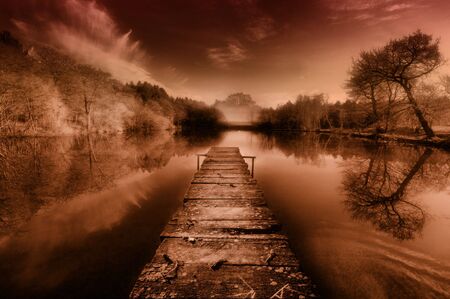 Trees reflected in a calm pond at duskの写真素材
