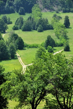 natural landscape, detail from central Serbiaの写真素材