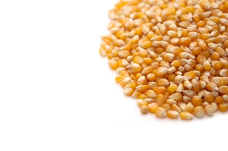 Bright corn kernels arranged in a pileの写真素材