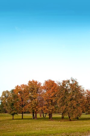 The beauty of autumn on a October afternoon.
の写真素材