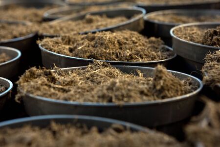 Plastic pots with ground soil, close up imageの写真素材