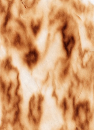 High resolution burned paper texture image.の写真素材