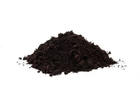 A pile of dark soil over a white background.の写真素材