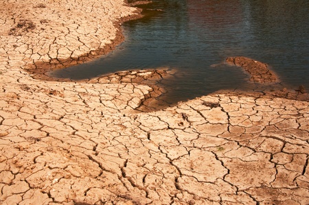 Dry land texture, background image.の写真素材
