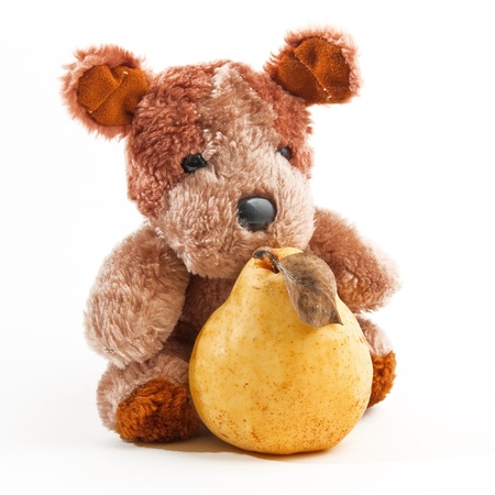 Cute little teddy bear holding a pear over a white backgroundの写真素材
