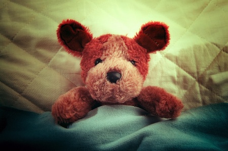 Cute little teddy bear laying in bed and sleeping