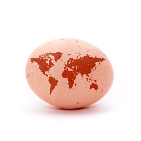 An egg with a shape of an detailed earth mapの写真素材