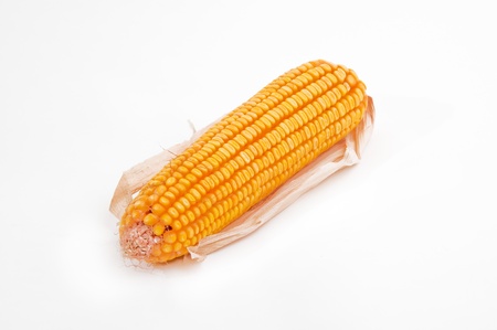 Beautiful yellow ear of corn over a white backgroundの写真素材