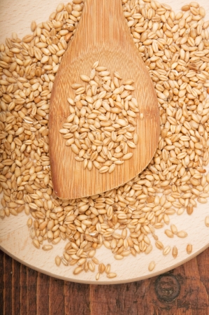 Plenty of wheat grains on an old wooden kitchen tableの写真素材