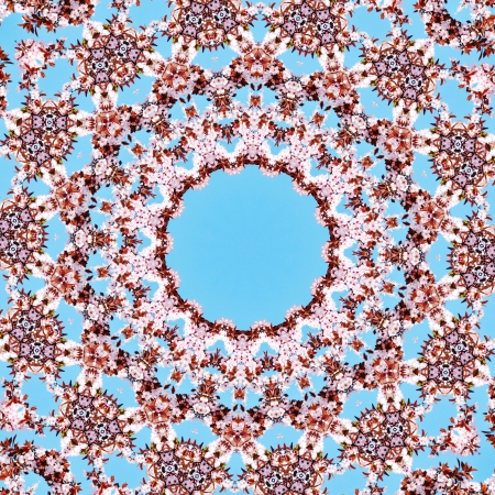 kaleidoscope image of pink cherry blossoms on a softly blurred backgroundの写真素材