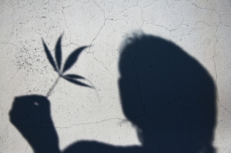 Shadow of a man's head and a weed leaf on a white concrete wall.の写真素材