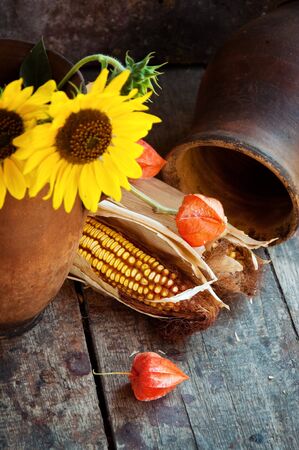 Sunflowers and yellow harvested corn, autumn still life on the old wooden table.の写真素材