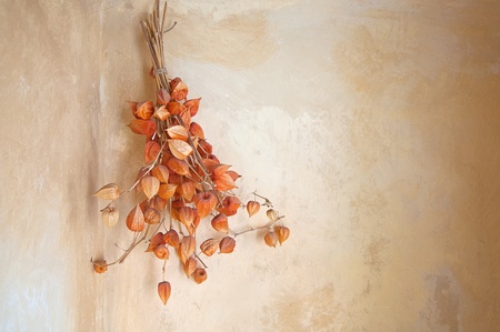 Dry flowers hanging on the wall, autumn background decorationの写真素材