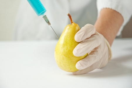 Sweet yellow pear in genetic engineering laboratory, gmo food concept.の写真素材