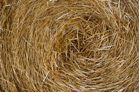 Close up image of hay straw stack, agriculture backgroundの写真素材