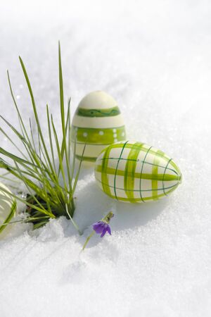 Green easter eggs in snow on a daylight の写真素材