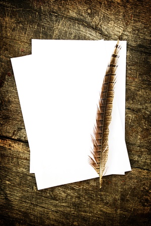 Feather and blank paper on wood background の写真素材