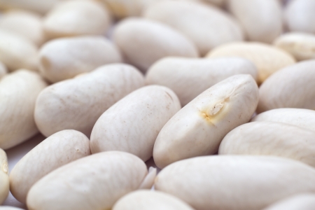 Kidney beans  Macro shot with shallow depth of field of raw white kidney benas の写真素材