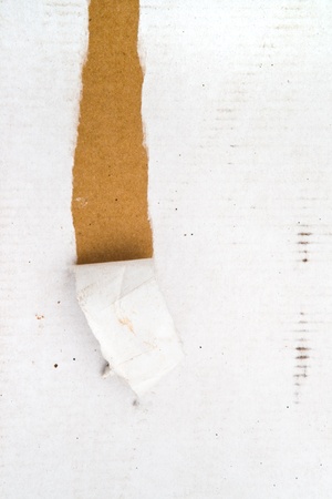 Torn dirty cardboard paper as a background for your design.の写真素材