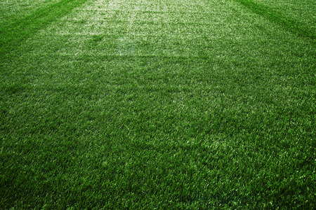 Artificial turf at soccer field, green plastic grass as background.の写真素材
