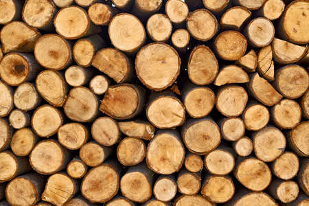 Firewood stack. Staple of biomass, arranged firewood.