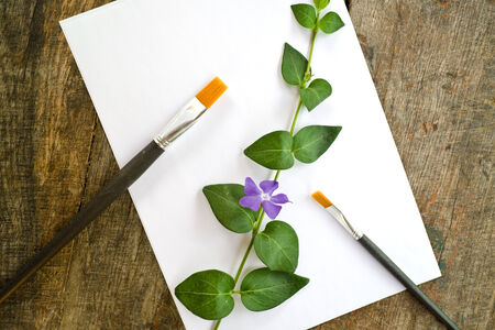 Paint brushes, purple spring flower and blank white paper on old wood background.の写真素材