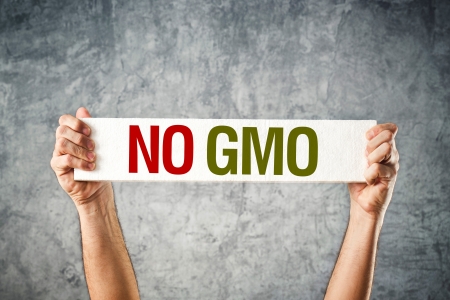 No GMO. Man holding banner with Anti GMO message.の写真素材
