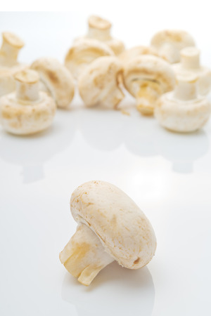 Fresh edible Portabello Mushroom Champignon over white background with reflection.の写真素材