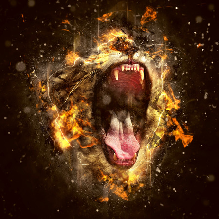 Lion, the King of beasts and the most dangerous animal of the world. Lion, the King of beasts and the most dangerous animal of the world.