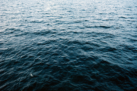Cold winter seascape, blue sea water surface
