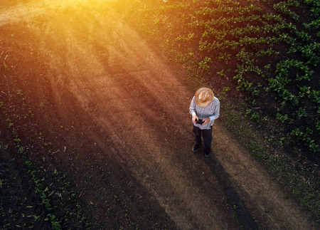 Farmer using drone in sugar beet crop field, concept of modern smart farming by using electronics, technology and mobile apps in agricultural productionの写真素材