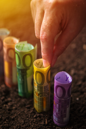 Harvesting euro money, conceptual agricultural image with hand picking EU paper currency from fertile soil groundの写真素材