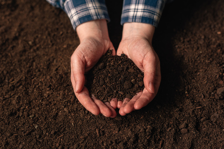 Soil fertility analysis as agricultural activity, female farmer holding arable ploughed dirt in cupped handsの写真素材