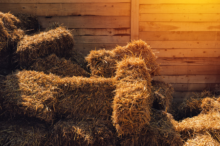 Dry baled hay stack, rural countryside background