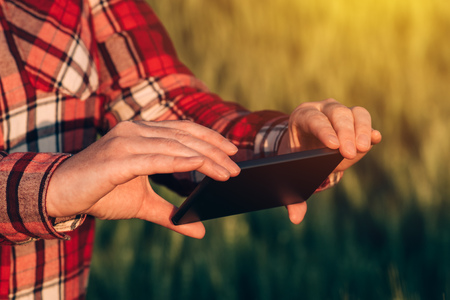 Agronomist using smart phone camera mobile app to photograph crops in cultivated fieldの写真素材