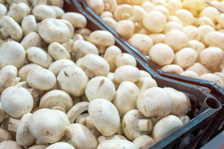 Organic champignon mushroom heap for sale on farmers marketの写真素材