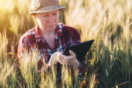 Smart farming, using modern technologies in agriculture. Female agronomist farmer with digital...