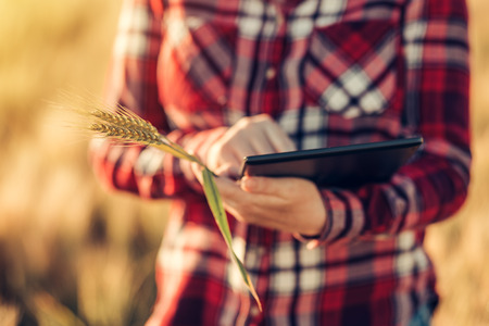 Smart farming, using modern technologies in agriculture. Female agronomist farmer with digital...