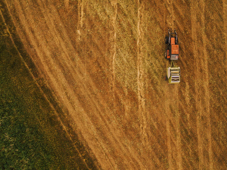 Aerial view of tractor making hay bale rolls in field after wheat harvest, drone pov