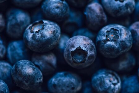 Blueberry pile, macro shot with selective focusの写真素材