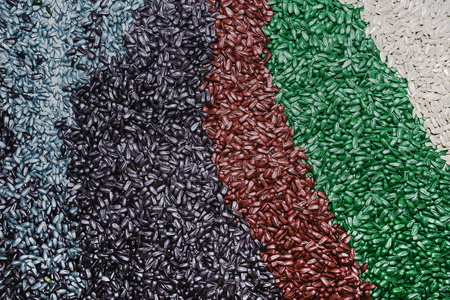 Multi-colored sunflower seed as background for agriculture and biodiversityの写真素材