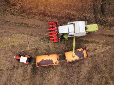 Aerial view of combine harvester pouring harvested corn crop grains into tractor trailer, top view...
