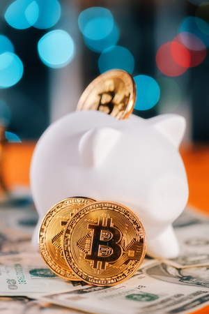 Bitcoin saving and investment concept with piggy coin bankの写真素材