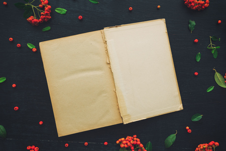 Vintage open book flat lay as mock up copy space od dark black desk background decorated with wild berry fruit arrangementの写真素材