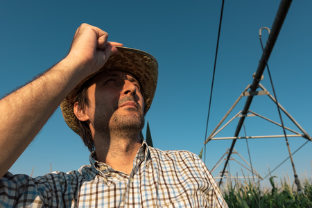 Serious concerned farmer in cornfield with irrigation system out of operation during warm summer dayの写真素材