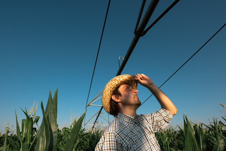 Serious concerned farmer in cornfield with irrigation system out of operation during warm summer dayの写真素材