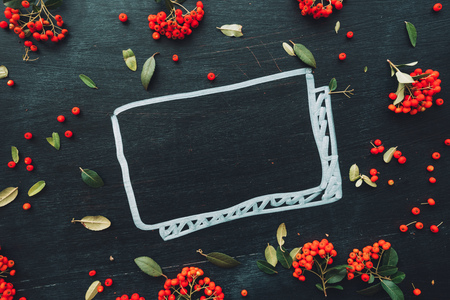 Flat lay wild red berries on dark background, top view overhead summer season copy space backdrop with fruit pattern arrangementの写真素材