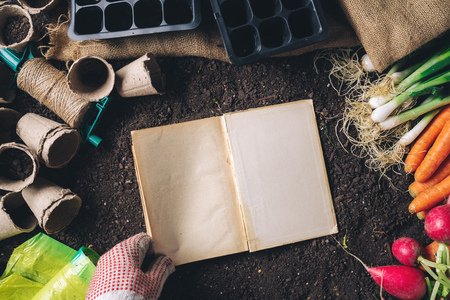 Book of secrets on organic homegrown produce cultivation, top view mock up copy spaceの写真素材