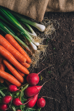 Organic homegrown produce on greenhouse soil ground ready to be packed for farmer's marketの写真素材