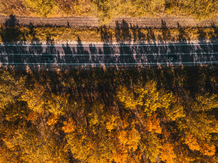 Aerial view of two black cars on road through forest in autumn, drone point of view directly aboveの写真素材